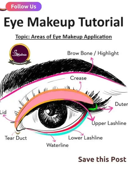 An essential diagram showing the different areas of the eye for makeup application, like the lid, crease, and tear duct.