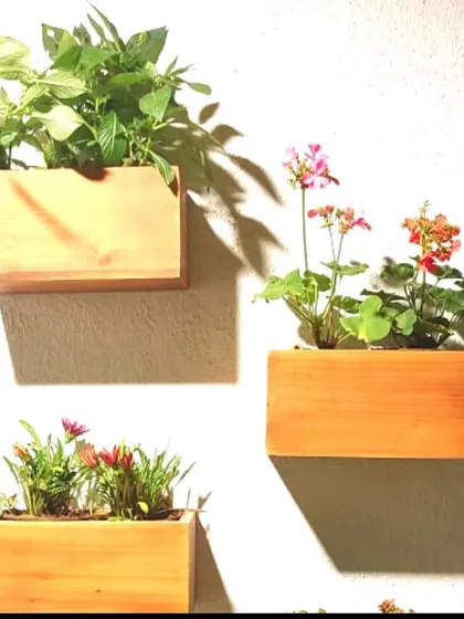 Simple wooden box planters mounted on a wall can create a minimalist and natural aesthetic. They are perfect for holding herbs or small flowering plants.