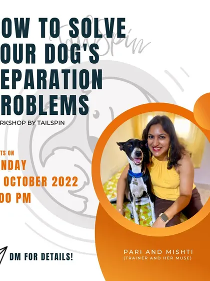 I offer specialized workshops to tackle common but complex issues. This graphic is from my workshop focused on solving separation problems, where I provide a structured, long-term plan to help dogs feel safe when left alone.