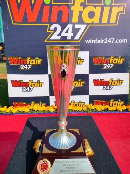 The Saddle Up Cup, a classic trophy with a ruby-colored accent.