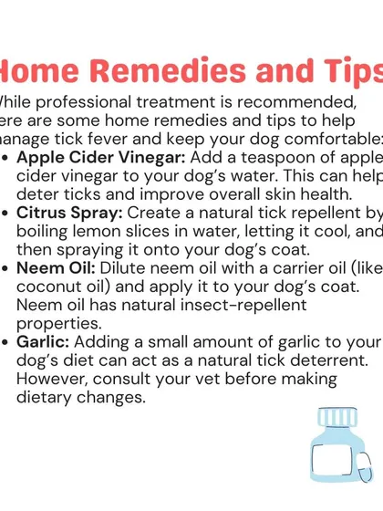 While professional treatment is recommended, some home remedies can help manage and deter ticks. Natural options like diluted neem oil or a citrus spray can be part of an integrated prevention plan.