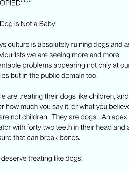 My philosophy is simple: Honour The Dog. Treating a dog like a human baby is a disservice to them and creates behavioral problems. They are magnificent animals who deserve to be treated with respect for what they are.