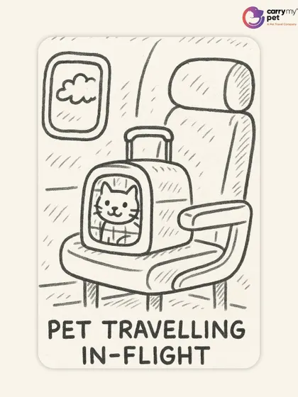 For smaller pets, in-flight cabin travel can be an option on certain airlines. This doodle shows a cat safely tucked in its carrier on a plane seat.