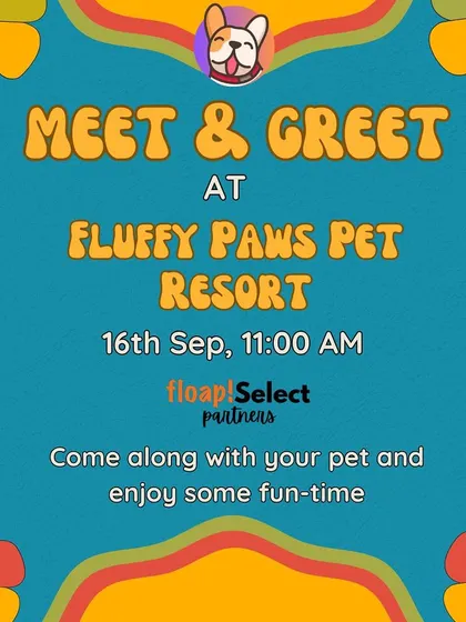 Come one, come all. I host open meet-and-greet events at fantastic pet-friendly venues like Fluffy Paws Pet Resort, where you and your pet can explore the facilities and meet new friends.