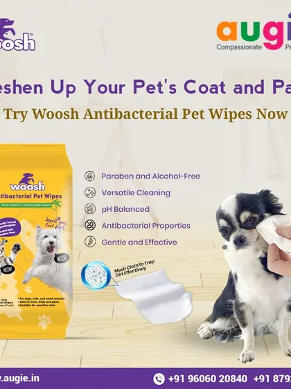 Keep your pet fresh anytime, anywhere with Woosh Antibacterial Pet Wipes. They are paraben and alcohol-free, pH balanced, and have a mesh cloth to trap dirt effectively. Perfect for quick cleanups.