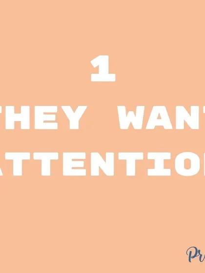 Is your puppy biting you to get your attention? This is super common! I teach you how to redirect that biting onto appropriate toys and show them better ways to ask for playtime.