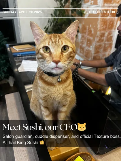 Meet Sushi, our CEO. She's the salon guardian, cuddle dispenser, and official boss. All hail King Sushi.