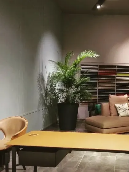 An Areca Palm in a sleek black metal planter adds life and a natural element to this modern office space. We help select the right plant and planter combination to match your interior design.