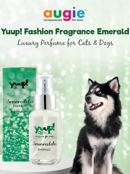 This luxury perfume for cats and dogs is a great way to pamper your pet. The Yuup! Fashion Fragrance Emerald comes in beautiful packaging and leaves your pet smelling divine.