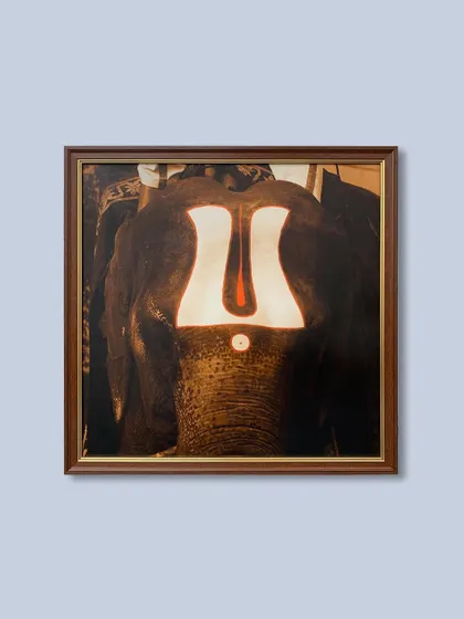 Another example of divine art, this time focusing on the elephant, a sacred symbol. The rich wooden frame enhances the reverent and powerful mood of the photograph.