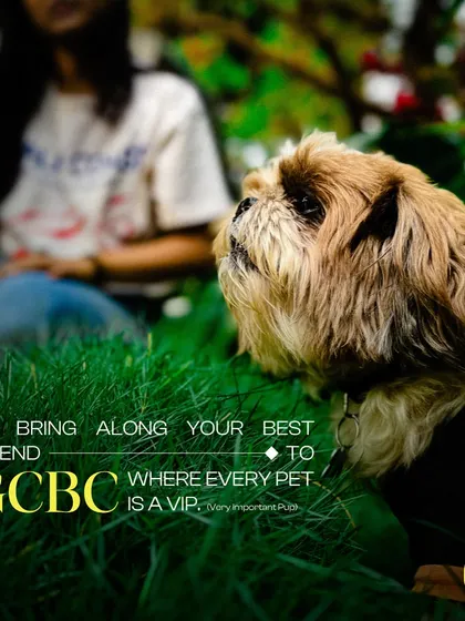 Bring along your best friend to GCBC, where every pet is a VIP (Very Important Pup).
