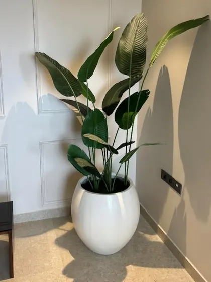A large artificial Bird of Paradise plant in a white globe planter. This is a fantastic choice for filling a corner in a living room or bedroom, adding a touch of maintenance-free tropical elegance.