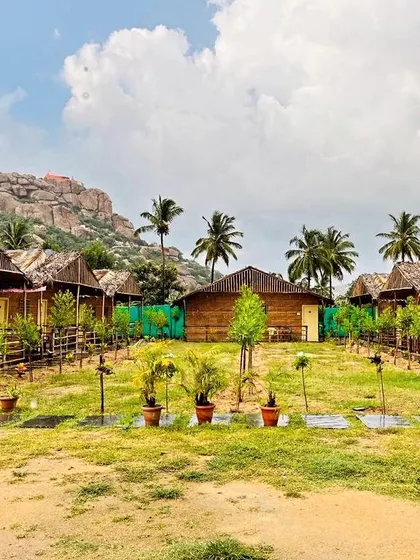 A duplicate of 141, showing the charming, rustic huts where our community stays during the Hampi festival.