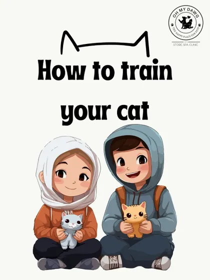 Yes, you can train a cat. This series of infographics provides some simple, effective tips for teaching your cat new things.