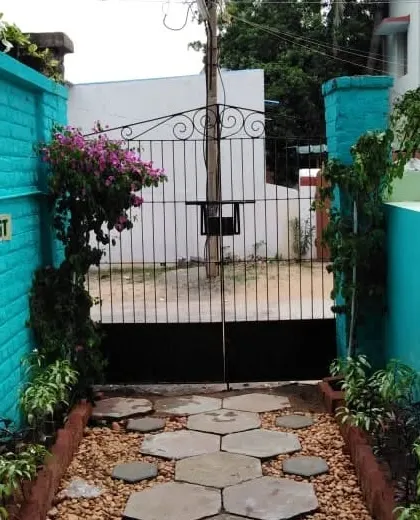 The finished entrance path. The hexagonal stones are surrounded by pebbles, and bordered by plants and a bougainvillea vine for a welcoming look.