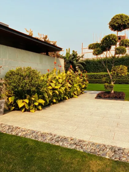 This view shows the combination of a stone walkway, a river rock border, and lush Canna lily beds. The mix of textures is a key part of my softscaping and hardscaping strategy.