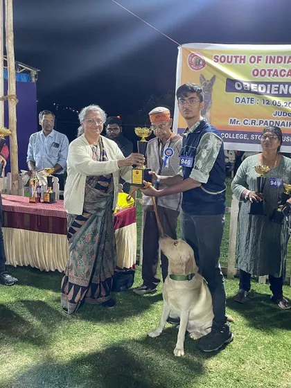 A duplicate shot of a young handler and his Labrador receiving their prize.