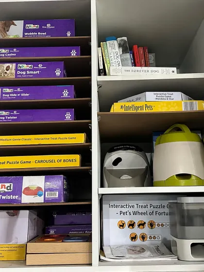 My collection also includes interactive food dispensers and other enrichment toys. The goal is to provide endless variety to keep your dog's brain active and engaged.