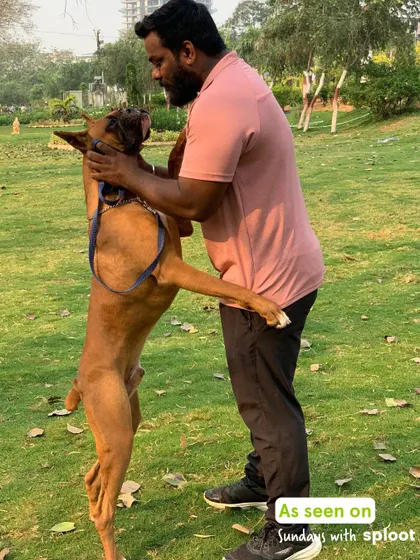 A moment of pure joy between a dog parent and his energetic pup at one of our park meetups. This is what it's all about.