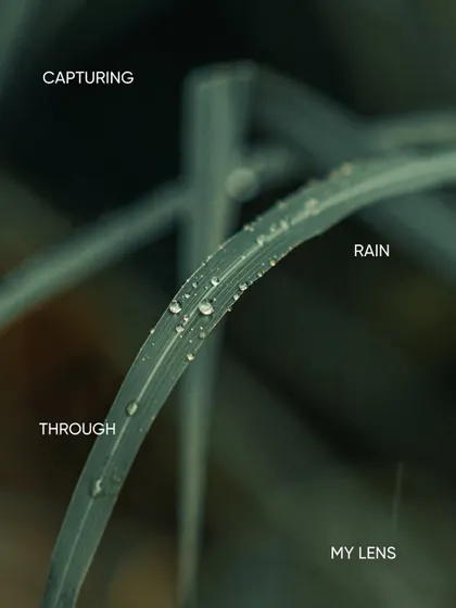 "Capturing rain through my lens." A macro shot of raindrops collected on a single blade of grass, turning a simple detail into the hero of the photograph.