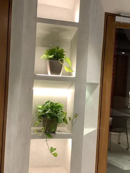 These simple pothos plants, placed in softly lit wall niches, add a touch of elegance and life to an otherwise plain corridor, proving that good design is in the details.
