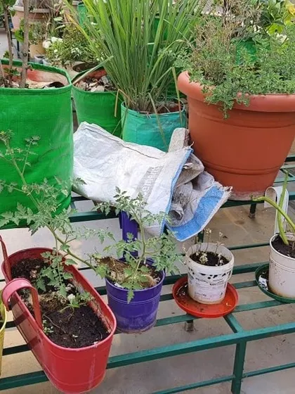 Our two-tier metal stands are perfect for displaying a variety of smaller pots, including railing planters and grow bags, creating a compact and diverse garden.