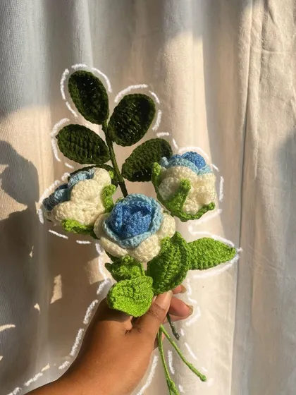 A small bunch of the blue and white gradient roses, showing how they look together as a small bouquet.