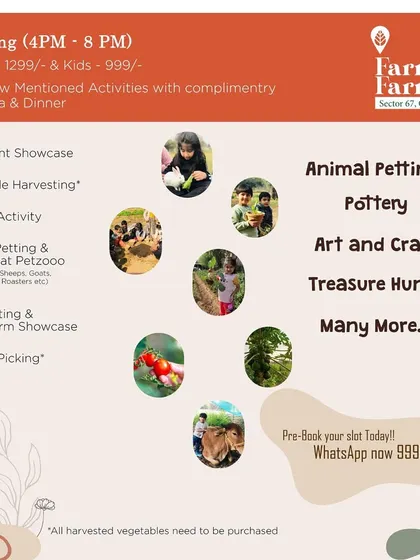 A flyer detailing our evening package, which includes a range of activities from vegetable harvesting to pottery, along with high-tea and dinner.