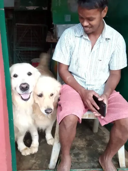 Two happy Golden Retrievers photobombing our caretaker. These bonds between our staff and the dogs are the heart of what we do.