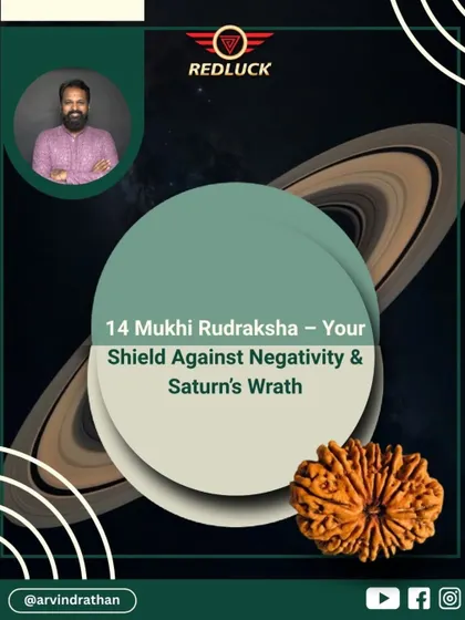 The 14-Mukhi Rudraksha is a powerful shield against negativity and Saturn's wrath. Known as the bead of Maha-Shani, it provides immense courage and protection from all forms of dark energy.