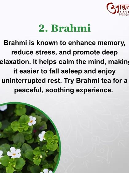Brahmi is another excellent herb for the mind. It is known to enhance memory, reduce stress, and promote deep relaxation, making it easier to fall asleep and enjoy uninterrupted rest.