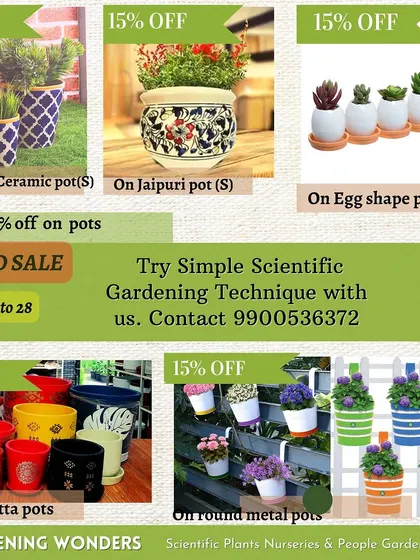 A duplicate image showcasing the variety of decorative pots on sale during our year-end promotion, from ceramic and terracotta to metal and egg-shaped pots.