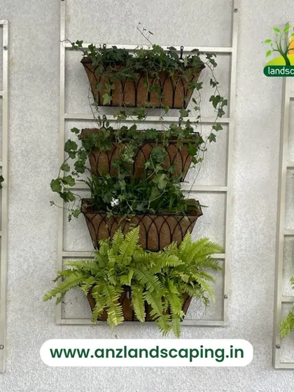 A detailed look at our wall-mounted planters, featuring coir baskets that are excellent for retaining moisture. This setup is ideal for growing ferns and trailing plants.