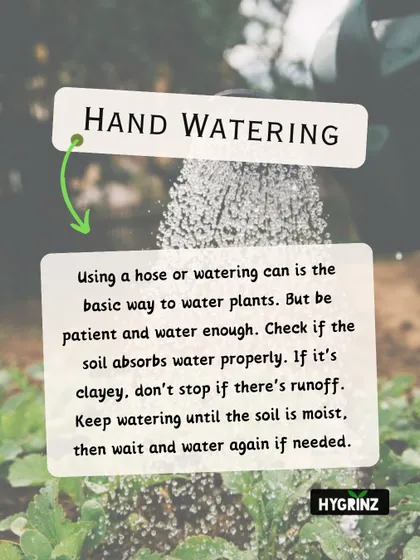 Hand watering is a basic but effective technique. This guide reminds you to be patient and ensure the soil is properly absorbing the water, especially with clay-heavy soils.