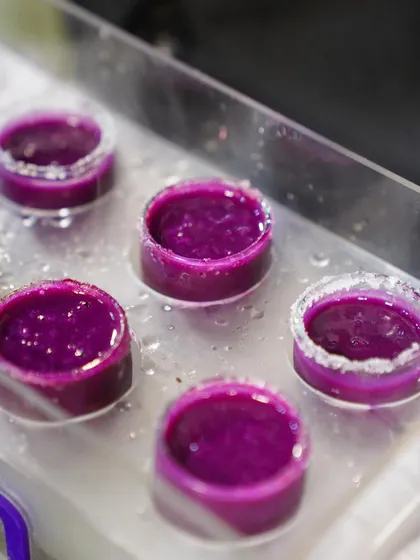 A close-up of our Jamun Shot, a liquid enlightenment. We use the finest Jamuns, a hint of citrus, and a whisper of cumin for a complex, refreshing flavor.