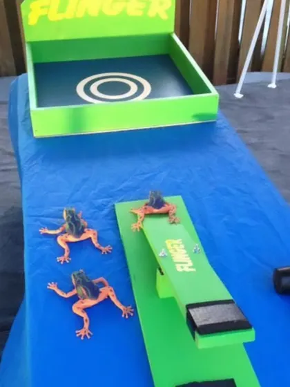 This is my Frog Flinger game, a fun and active challenge for party guests. Players use a small mallet to launch rubber frogs onto a target. It's an energetic game that always gets a lot of laughs.