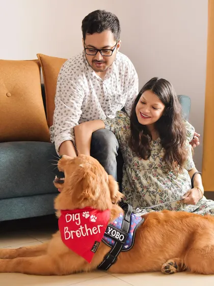 This adorable golden retriever, Yobo, is all geared up for his new role as 'Big Brother'. An indoor session like this allows us to capture relaxed, happy moments with the whole family in the comfort of your home.