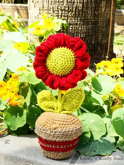 My Happy Flower In A Planter, soaking up some real sunshine in the garden.