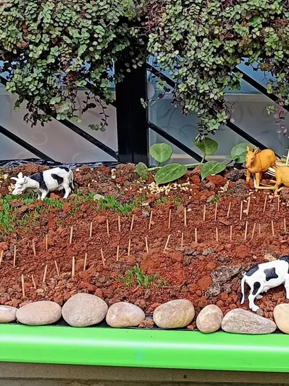 A close-up of the nativity scene, or 'crib', that the children helped set up.