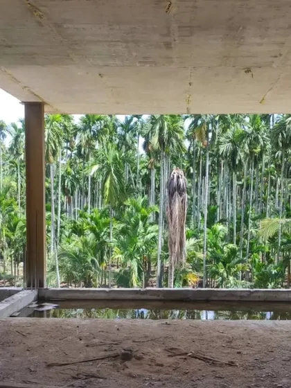The raw concrete structure is designed as a portal, framing the stunning view of the dense areca palm farm beyond.