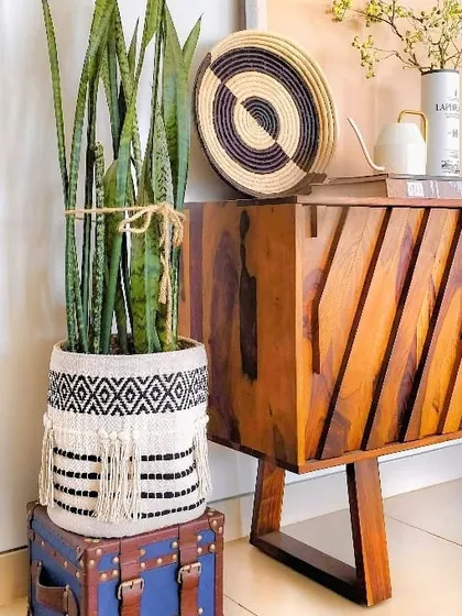 A close-up of the woven basket used as a planter.
