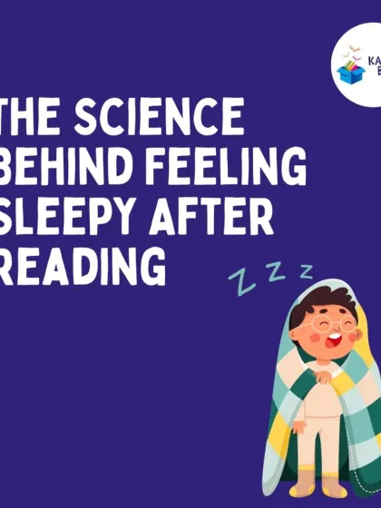 There's real science behind why reading makes us sleepy. It's a screen-free activity that calms the brain and helps improve sleep quality.