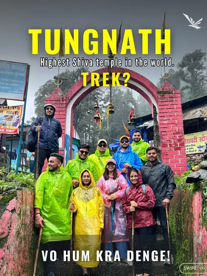 Want to do the Tungnath trek to the highest Shiva temple in the world? We'll make it happen for you.