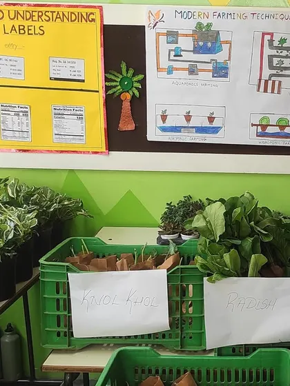 Students learn about modern farming techniques and reading food labels at their annual farmers market. Our programs go beyond just planting to cover the entire food system.