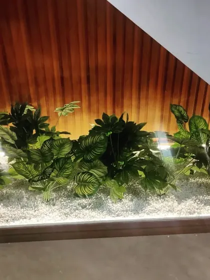 We specialize in finding creative solutions for underutilized spaces. Here, we transformed the awkward area under a staircase into a beautiful, illuminated dry garden bed filled with a variety of artificial plants, turning a forgotten corner into a highlight.