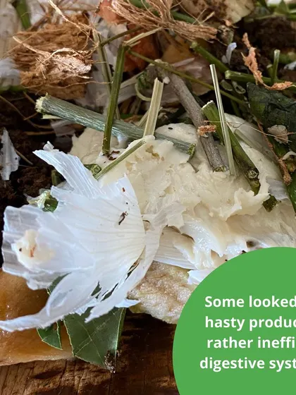 Our sensory play stations are all about hands-on exploration. This collection shows the variety of materials and setups we use for our messy play activities, from making different kinds of animal poo to painting with ice.