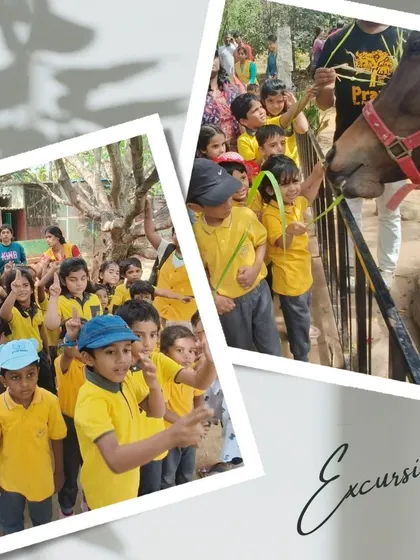 A group of excited children watch as their friend feeds a horse. These shared experiences on our excursions build camaraderie and excitement for learning.