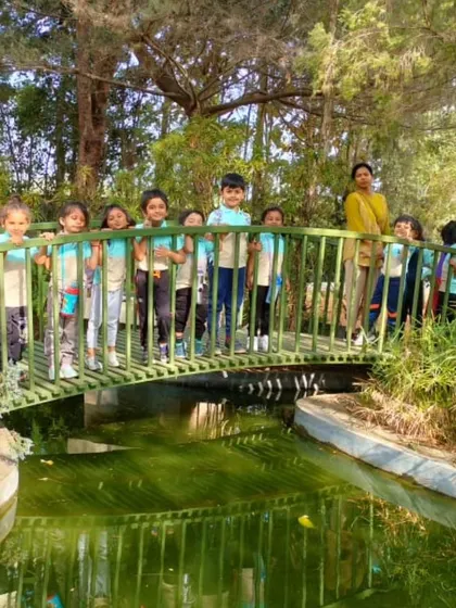 A group of children stand on a bridge over a stream, enjoying a nature walk and learning about local ecosystems.