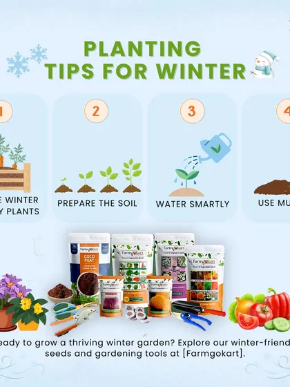 This guide gives you my top four planting tips for winter. I show you how to choose winter-friendly plants, prepare the soil, water smartly, and use mulch to protect your garden.