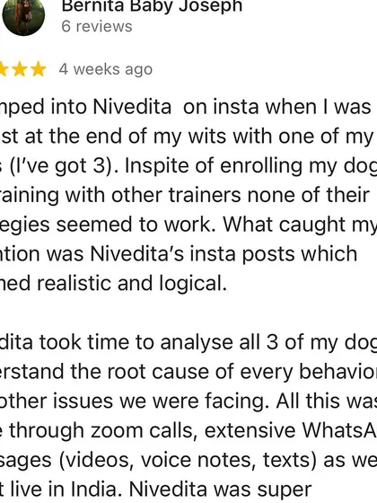 Bernita shares how she found my realistic and logical approach on Instagram after other training methods failed for her three dogs.